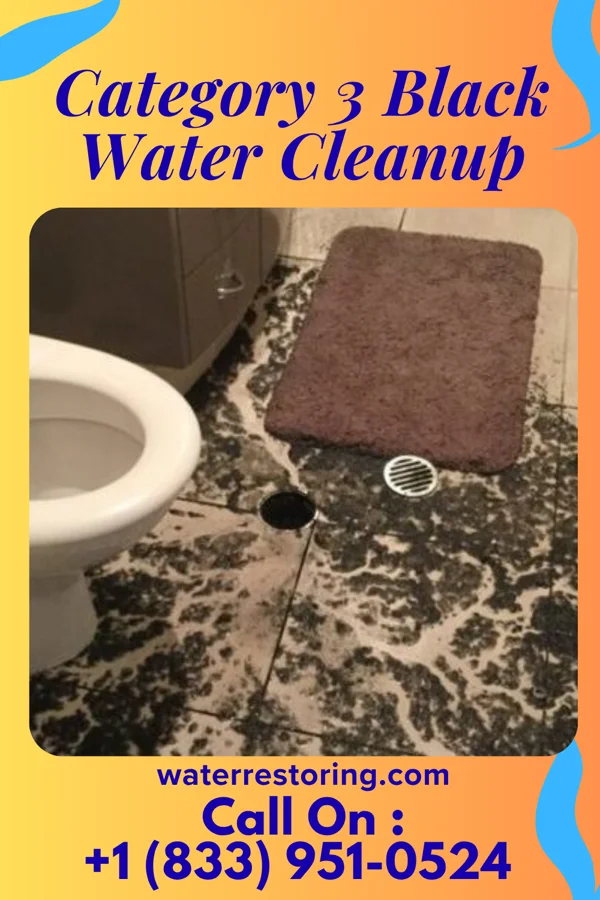 Category 3 Black Water Cleanup in Adamsville, OH
