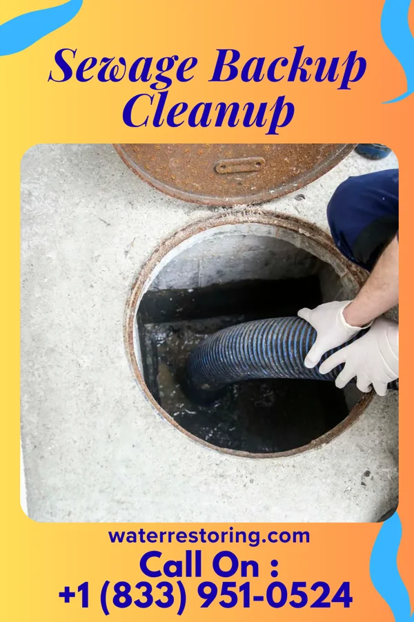 Sewage Backup Cleanup in Adamsville, OH