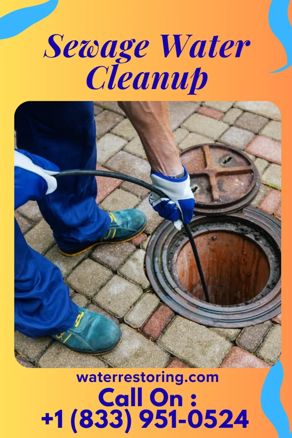 Sewage Water Cleanup in Adamsville, OH