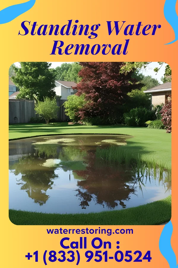 Standing Water Removal in Adamsville, OH